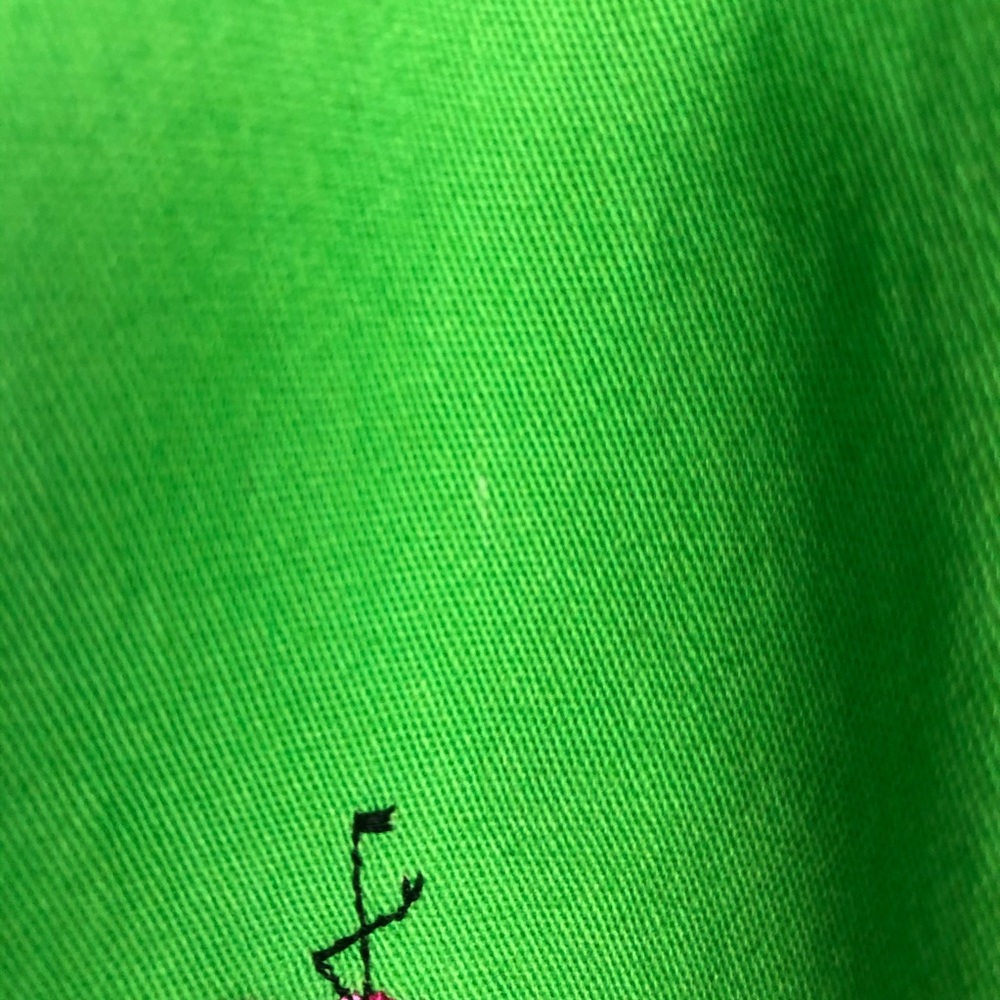 Briggs Pink Flamingo Embroidered Green Capri Pants - Picture 13 of 13
